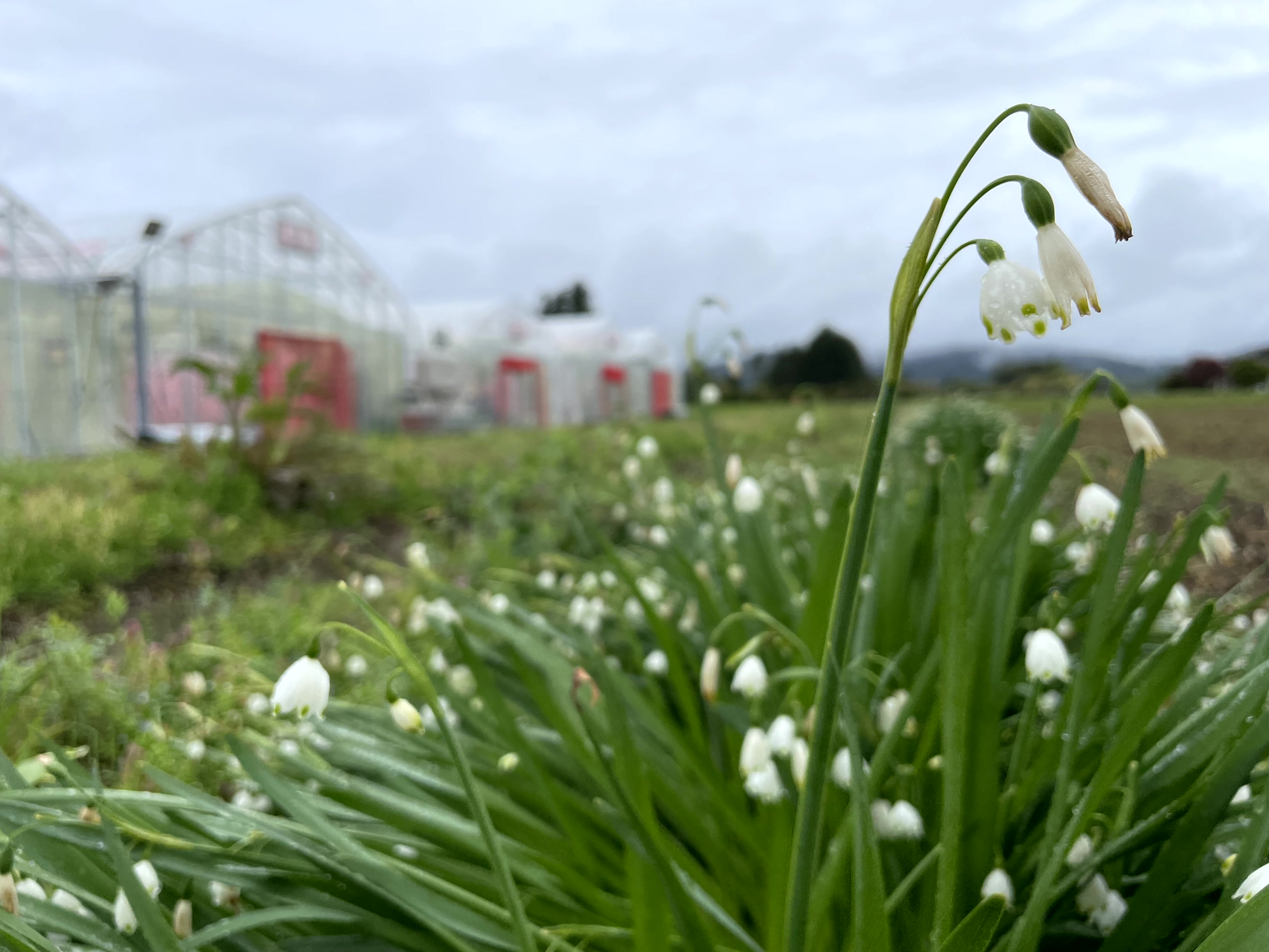 Origin - 風とともに生きる農園